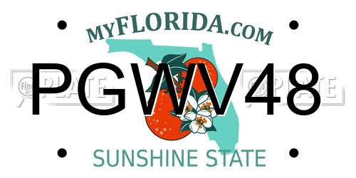 PGWV48 Florida License Plate