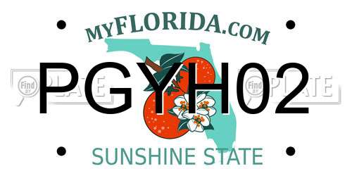 PGYH02 Florida License Plate