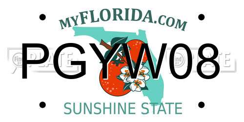 PGYW08 Florida License Plate