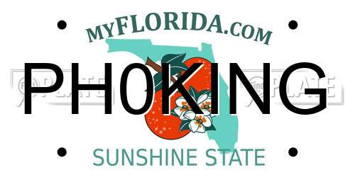 PH0KING Florida License Plate