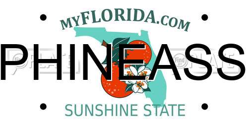 PHINEASS Florida License Plate