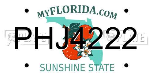 PHJ4222 Florida License Plate