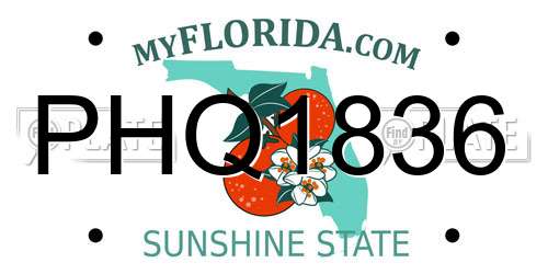 PHQ1836 Florida License Plate