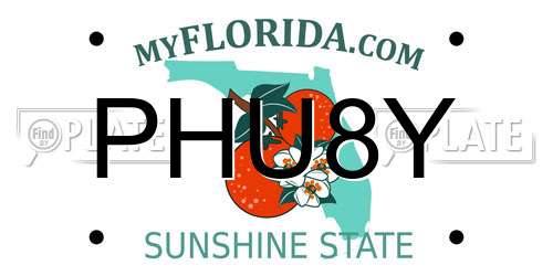 PHU8Y Florida License Plate