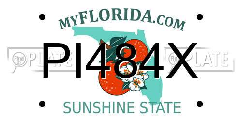 PI484X Florida License Plate