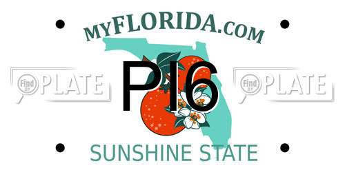 PI6 Florida License Plate
