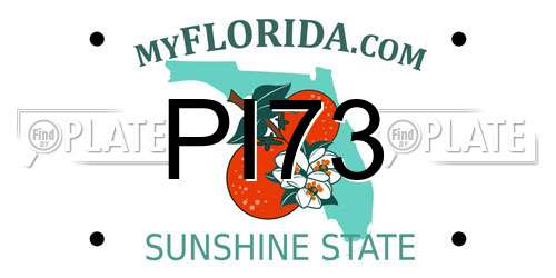 PI73 Florida License Plate