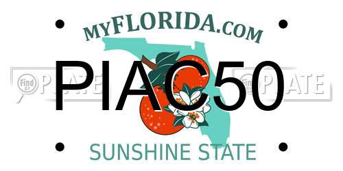 PIAC50 Florida License Plate