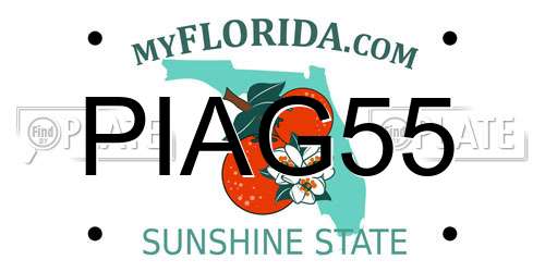 PIAG55 Florida License Plate