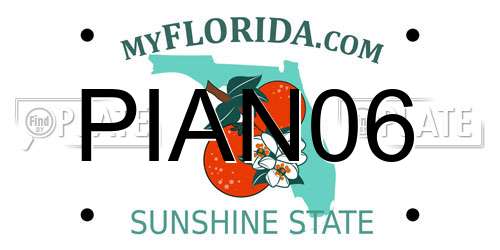 PIAN06 Florida License Plate