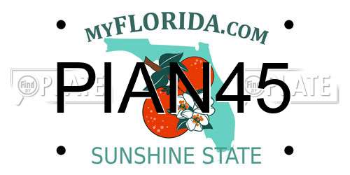 PIAN45 Florida License Plate