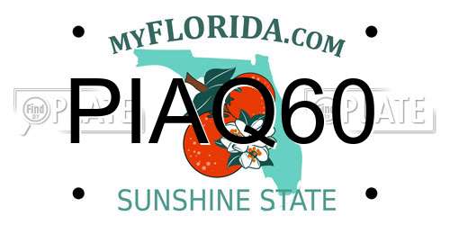 PIAQ60 Florida License Plate