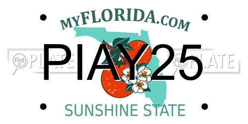 PIAY25 Florida License Plate