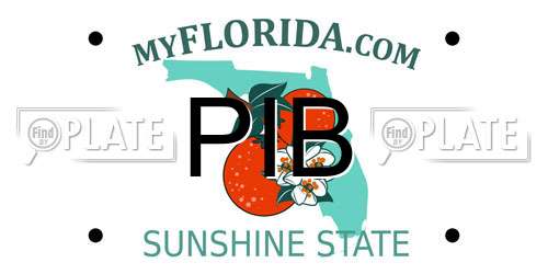 PIB Florida License Plate