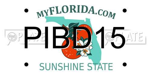PIBD15 Florida License Plate