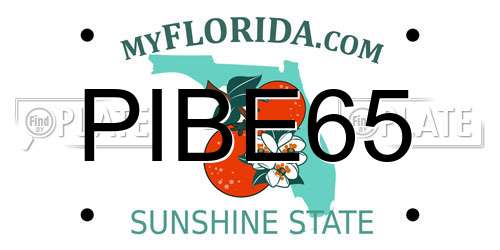 PIBE65 Florida License Plate