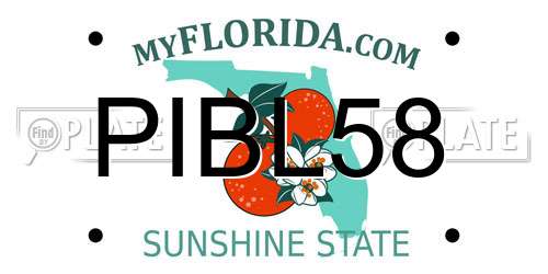 PIBL58 Florida License Plate