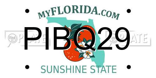 PIBQ29 Florida License Plate