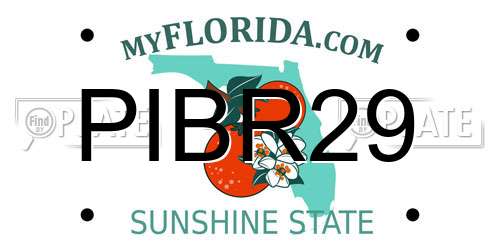 PIBR29 Florida License Plate