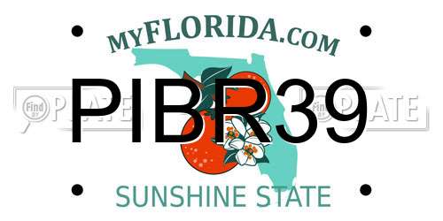 PIBR39 Florida License Plate