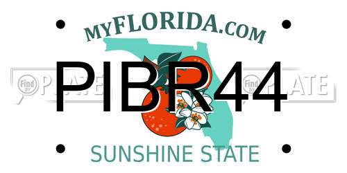 PIBR44 Florida License Plate