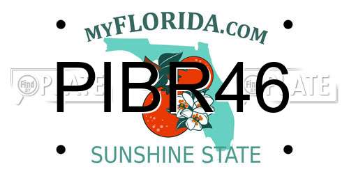 PIBR46 Florida License Plate