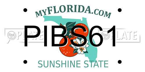 PIBS61 Florida License Plate