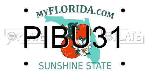 PIBU31 Florida License Plate
