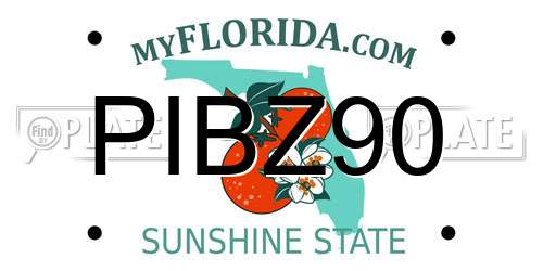 PIBZ90 Florida License Plate