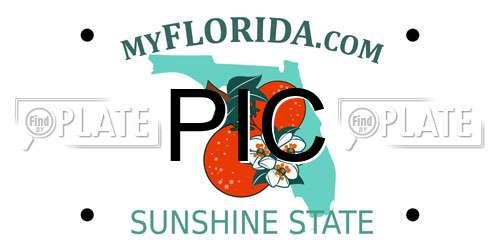 PIC Florida License Plate