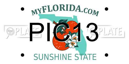 PIC13 Florida License Plate