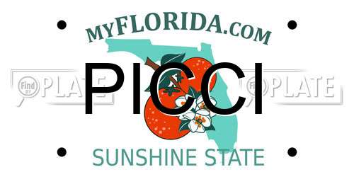 PICCI Florida License Plate