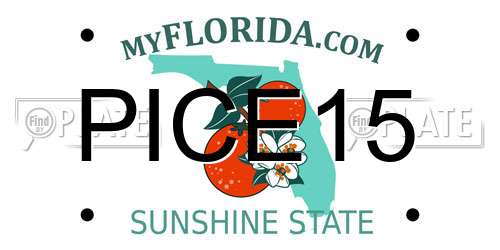 PICE15 Florida License Plate