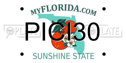 PICI30 Florida License Plate