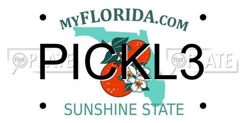 PICKL3 Florida License Plate