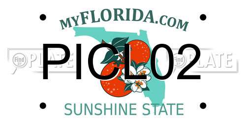 PICL02 Florida License Plate