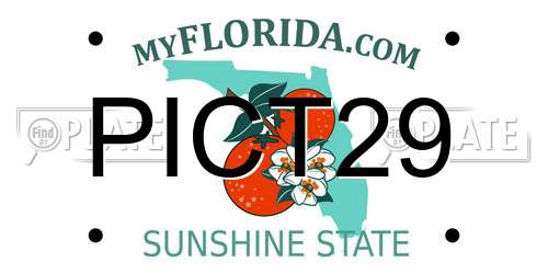 PICT29 Florida License Plate