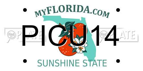 PICU14 Florida License Plate