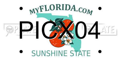 PICX04 Florida License Plate