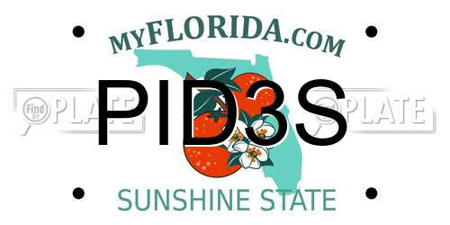 PID3S Florida License Plate