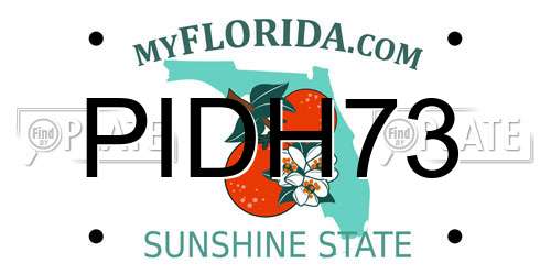 PIDH73 Florida License Plate