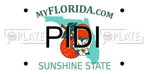 PIDI Florida License Plate