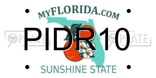 PIDR10 Florida License Plate