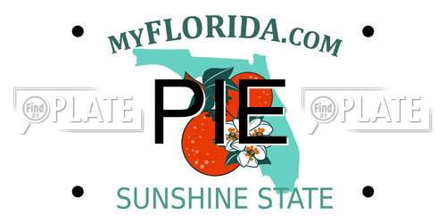 PIE Florida License Plate