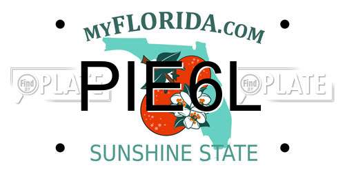 PIE6L Florida License Plate