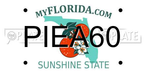 PIEA60 Florida License Plate