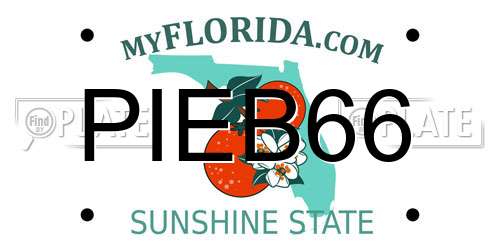 PIEB66 Florida License Plate
