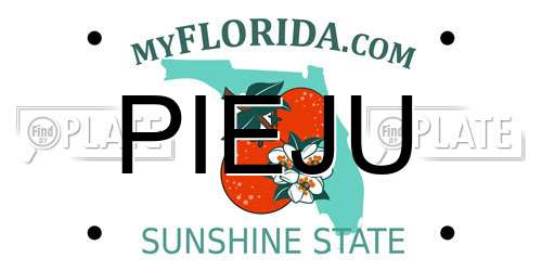 PIEJU Florida License Plate