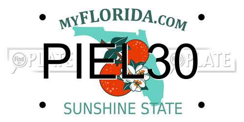 PIEL30 Florida License Plate