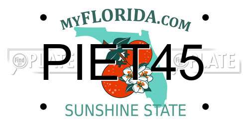 PIET45 Florida License Plate